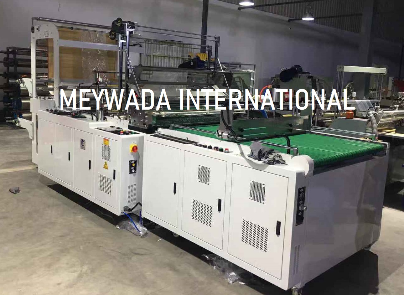 Rubber Bladder Plant